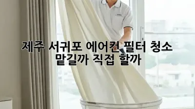 제주 서귀포 에어컨 필터 청소, 맡길까? 직접 할까?