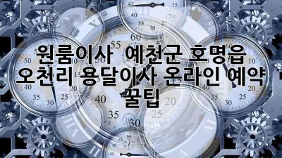 원룸이사 🚚💨 예천군 호명읍 오천리 용달이사, 온라인 예약 꿀팁! 🍯