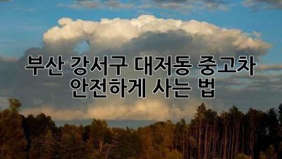 부산 강서구 대저동 중고차 안전하게 사는 법